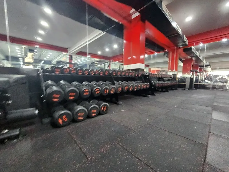 GymX Fitness Redefined - Available on cult.fit | Best gym in Sarjapur, Kaikondrahalli, Bengaluru