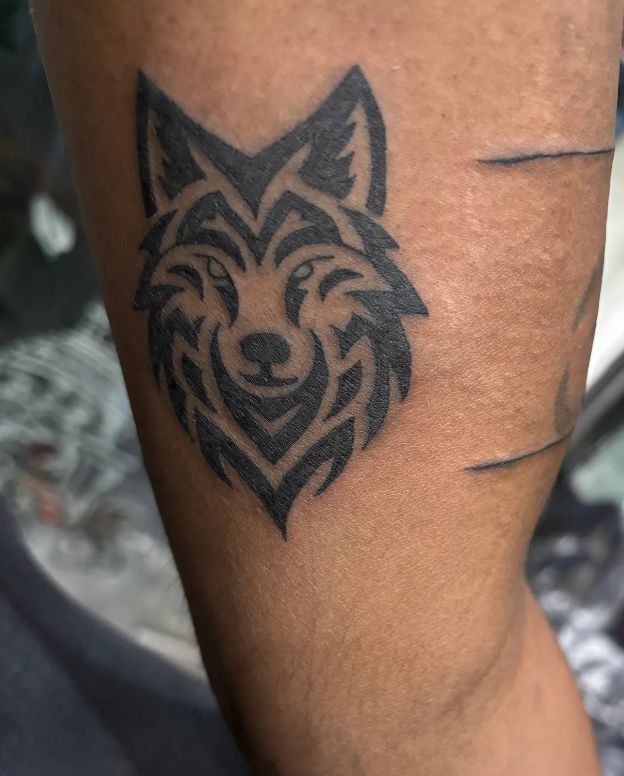Ink's Cup Tattoo Studio