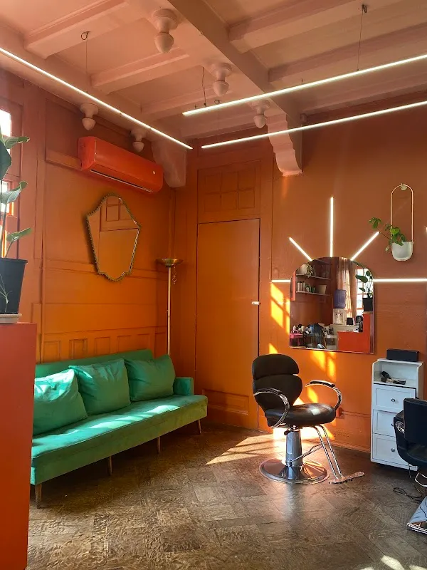 Bob studio