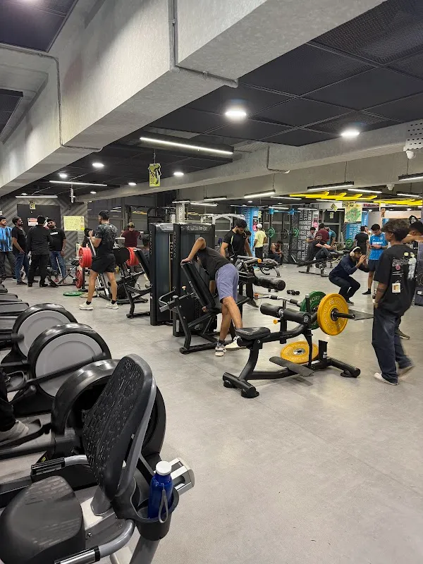 Cult Gym Indiranagar | Best Gym in Indiranagar, Bengaluru