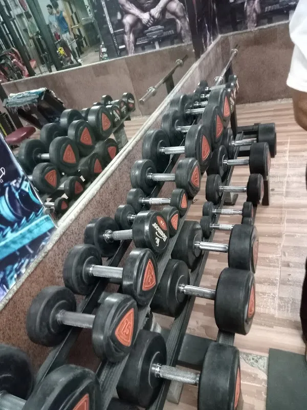 THE WORKOUT ZONE