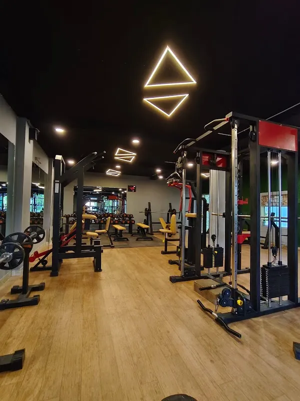 THE WORKOUT ZONE