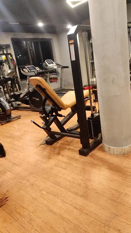 THE WORKOUT ZONE