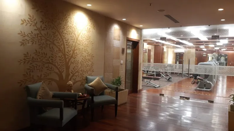 Spa Hibiscus Jaypee Palace