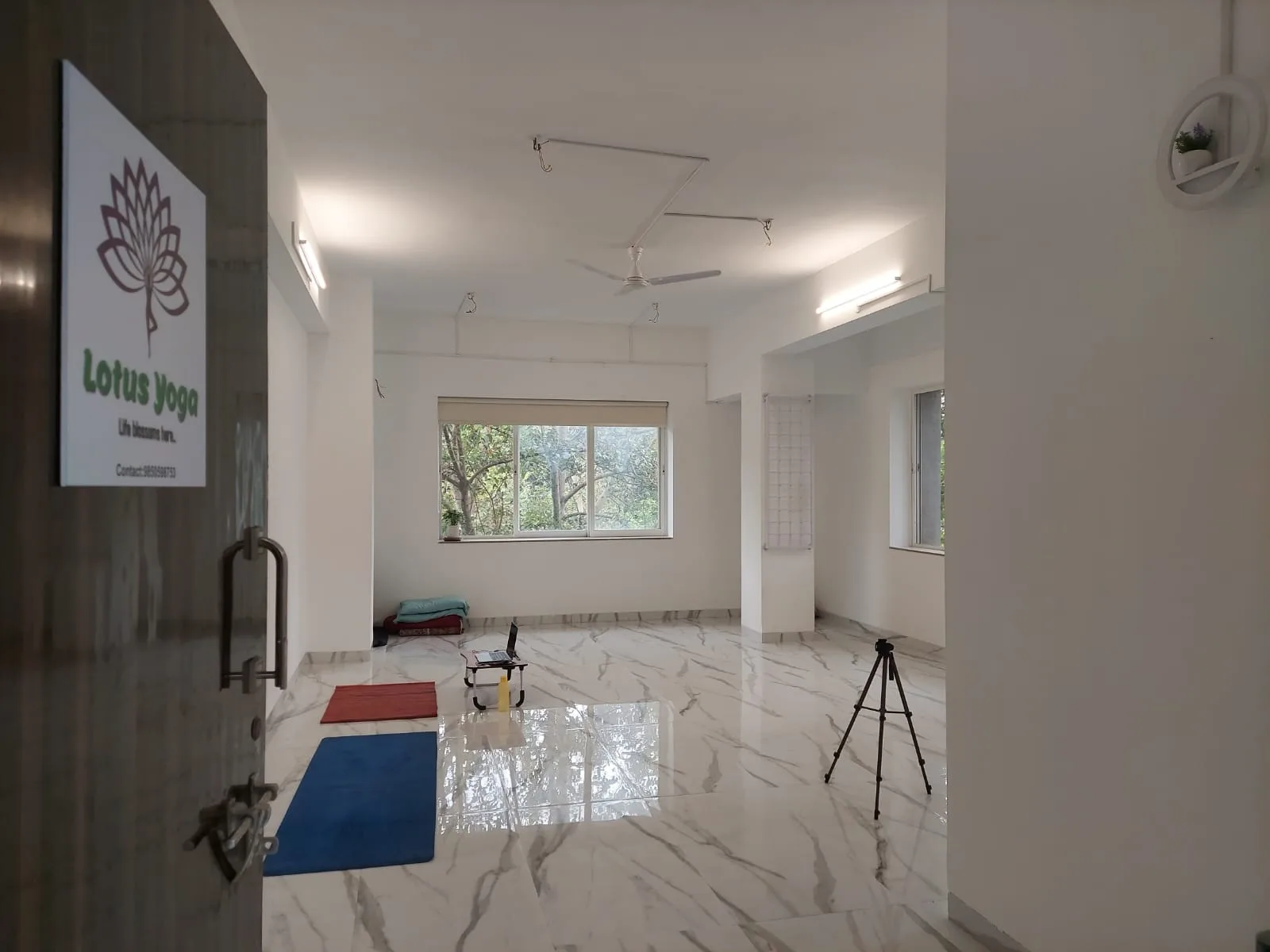 Lotus Yoga