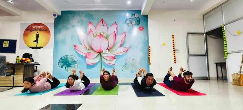 SHREE JI YOGA & FITNESS - YOGA, YOGA THERAPHY, DANCE, ZUMBA, MEDITATION, WEIGHT GAIN & LOSS