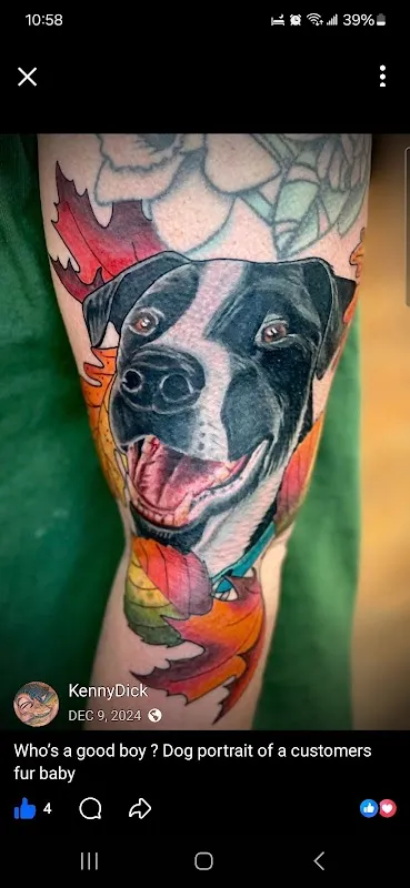 Tiger Shark Tattoo Studio