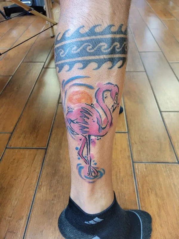 Tiger Shark Tattoo Studio