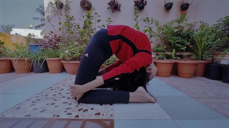 World of Yoga