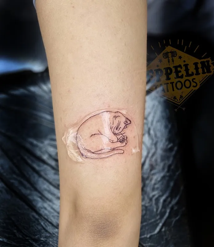 Zeppelin Tattoos - Tattoo shop delhi