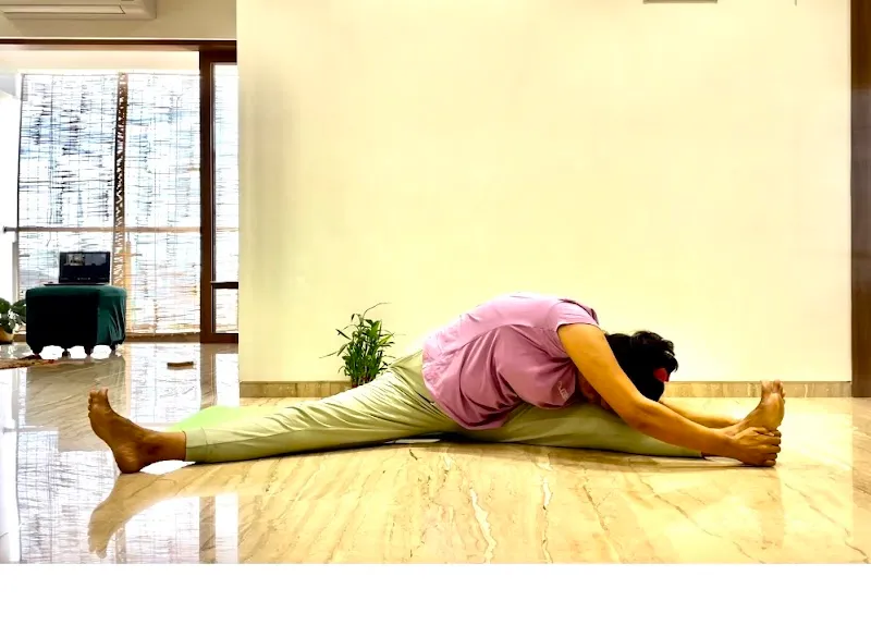 Yog Journey