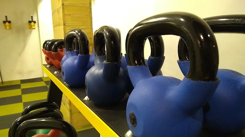 1 LIFE GYM