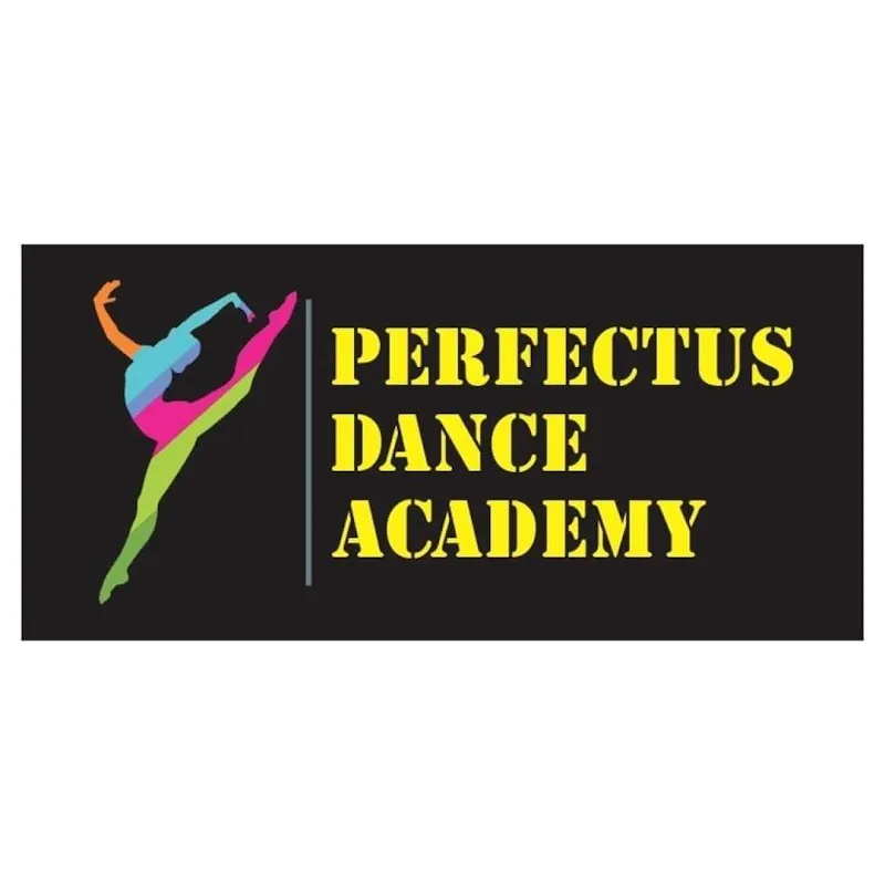 Perfectus Dance Academy Nexus studio