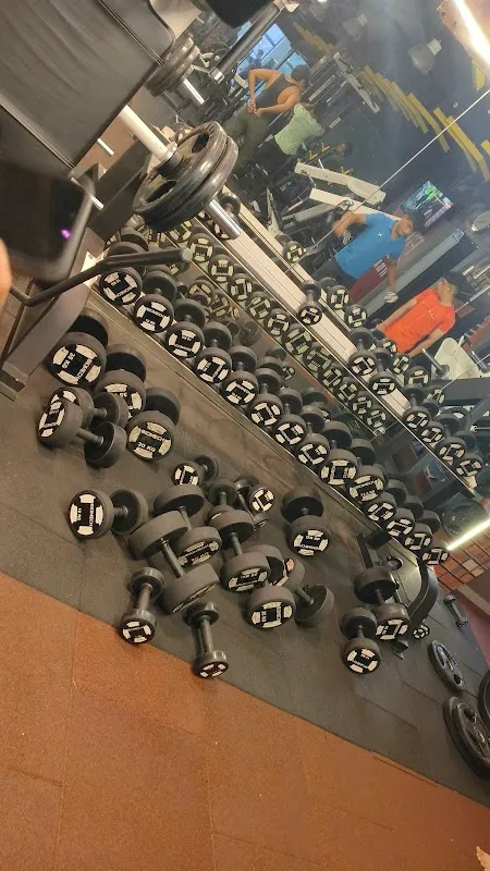 The wellness club