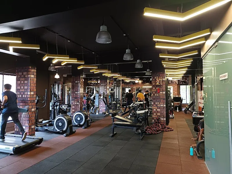 The wellness club