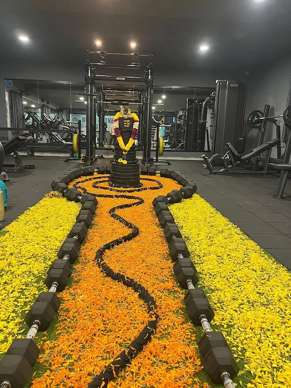 Onelife Fitness Gym