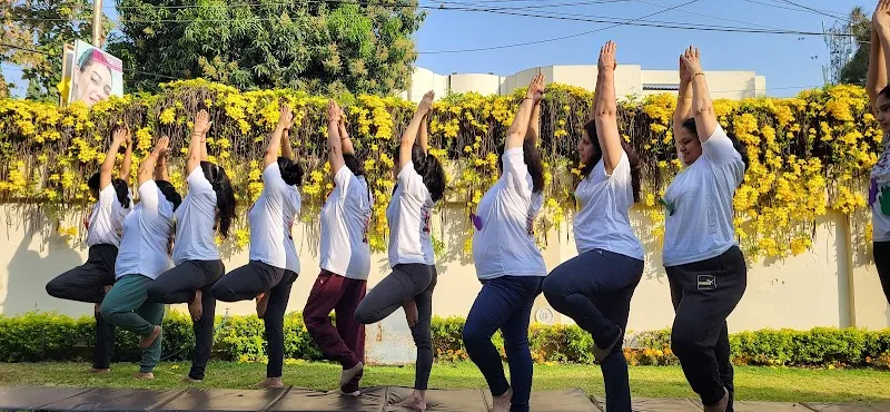 DAILY YOGA