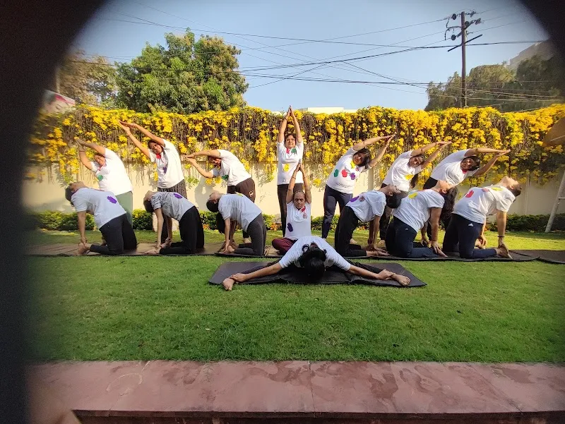 DAILY YOGA