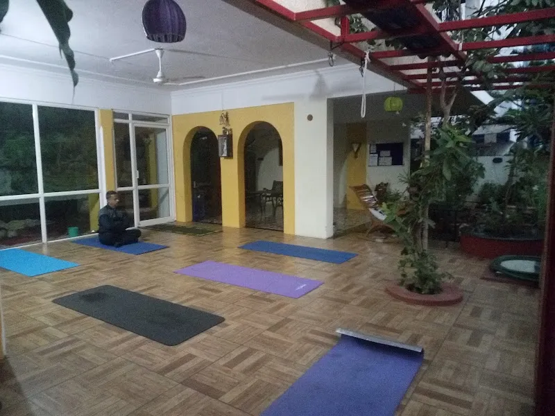 Yogvishwa: Yoga & Wellness Studio