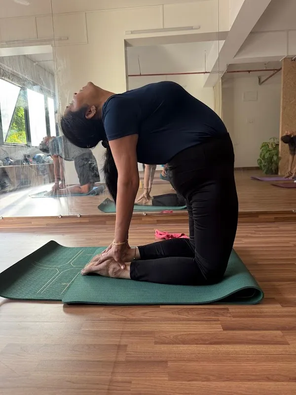 Yogvishwa: Yoga & Wellness Studio