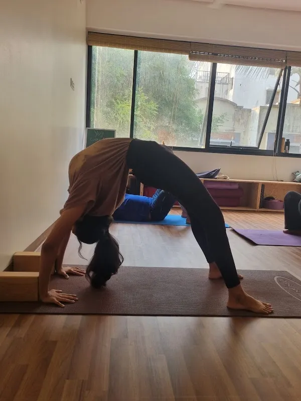 Yogvishwa: Yoga & Wellness Studio