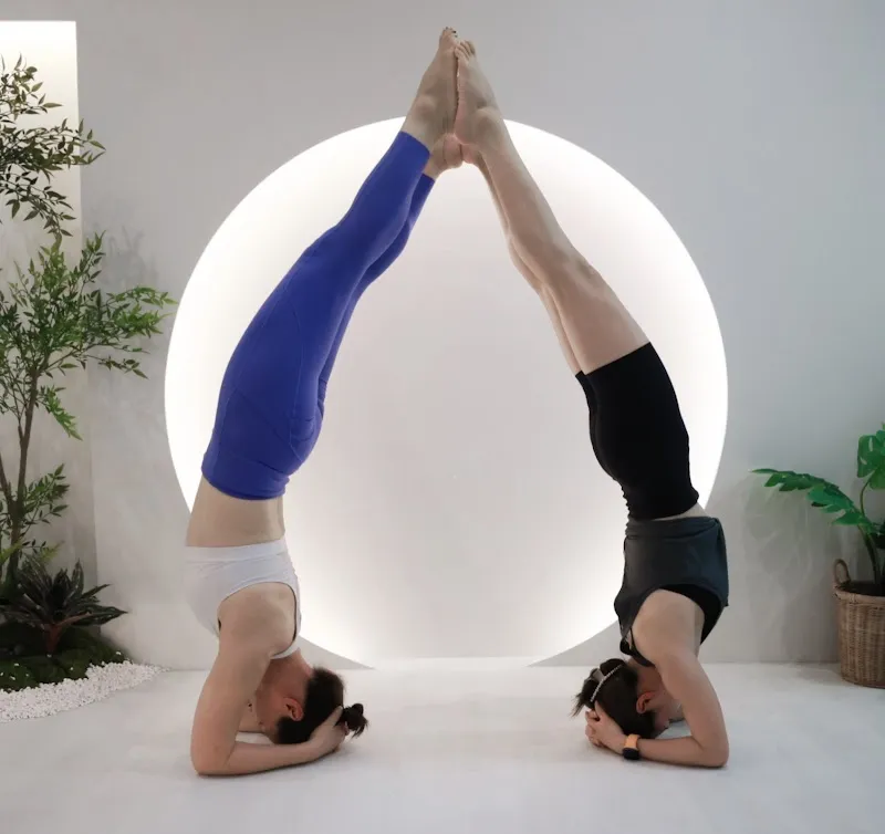 SHapE Yoga 形心瑜伽