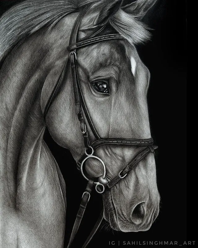 Priyanka skills - Best Fine Arts Drawing and Painting Classes in Ludhiana Punjab India