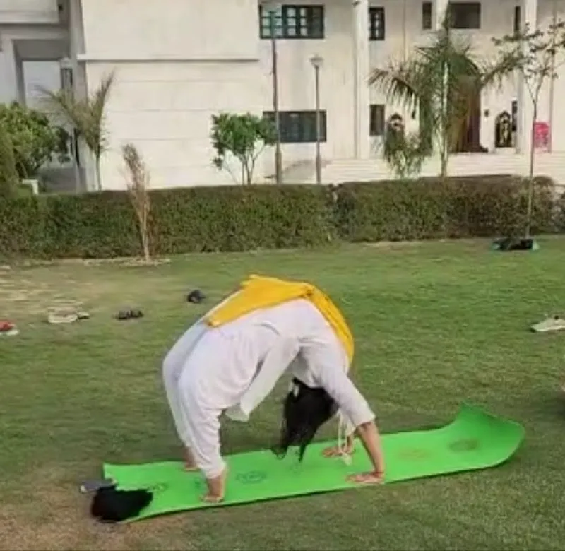 ADIYOGA MEDITATION CENTRE