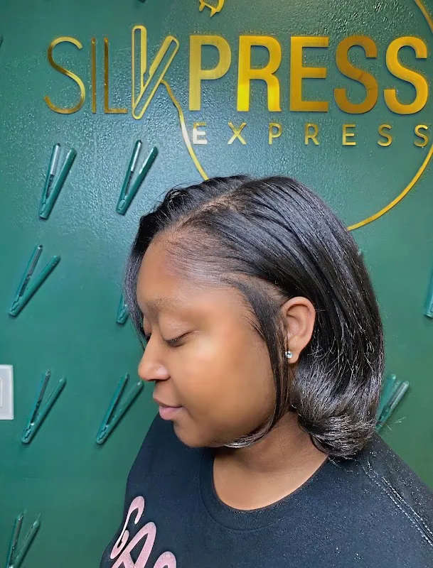 Silkpress Express