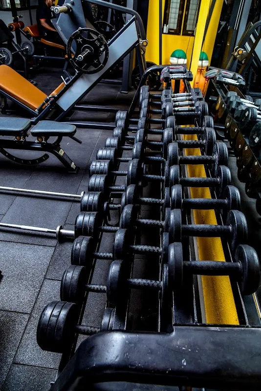 Synergy Fitness & Wellness Club Akola Gym
