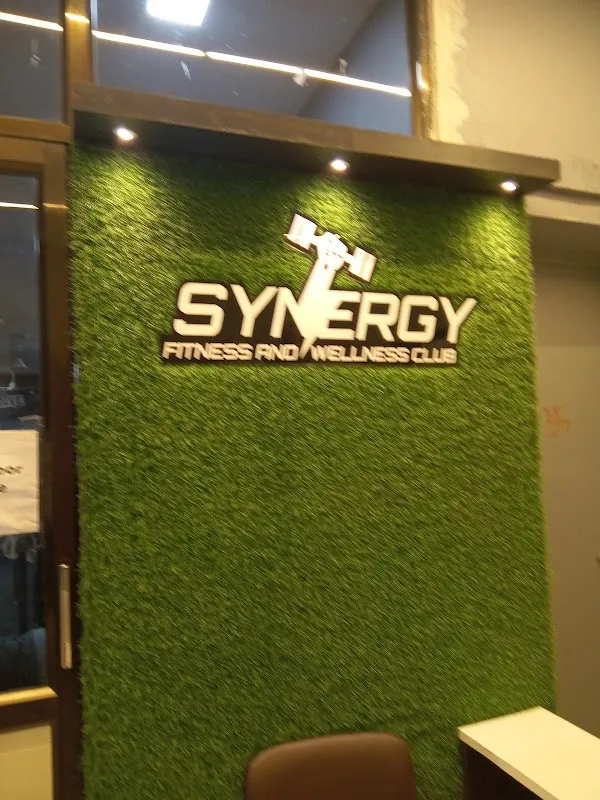 Synergy Fitness & Wellness Club Akola Gym