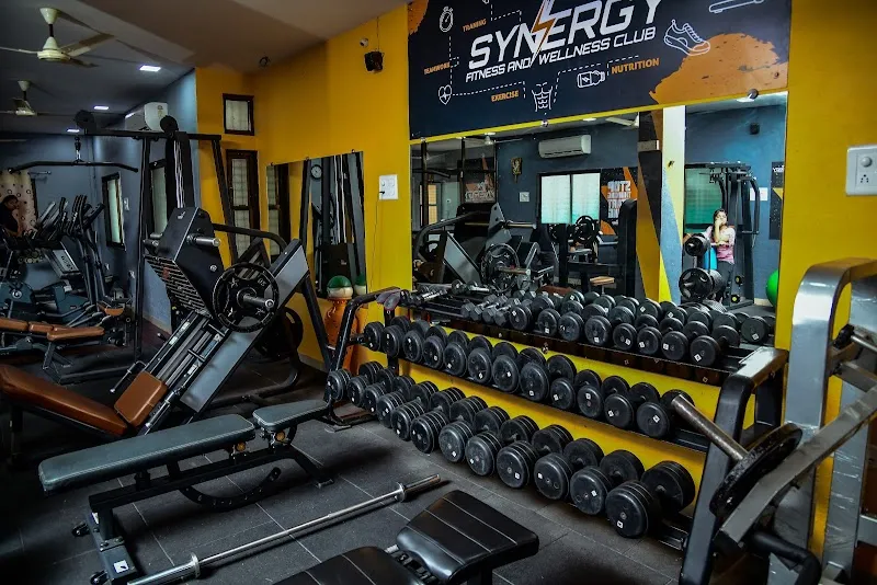 Synergy Fitness & Wellness Club Akola Gym