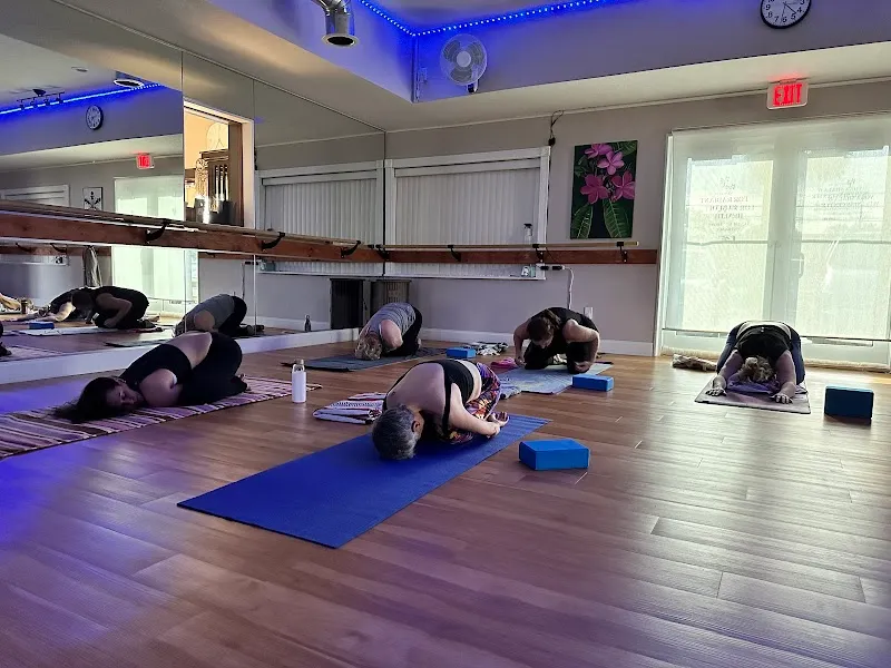 Yoga Shala & Wellness Center