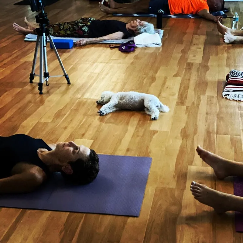 Yoga Shala & Wellness Center