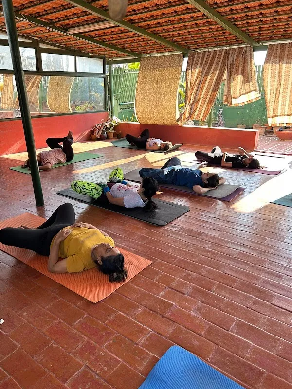 Sheen Fitness Studio & School of Yoga