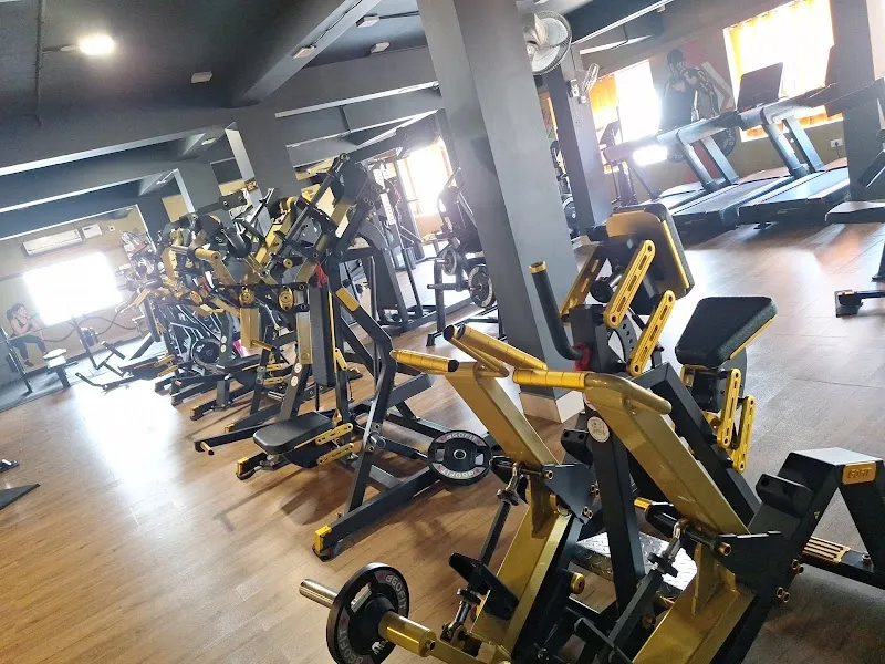 Power Pulse GYM