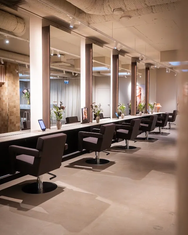 Rapunzel of Sweden - Hair Studio Stockholm