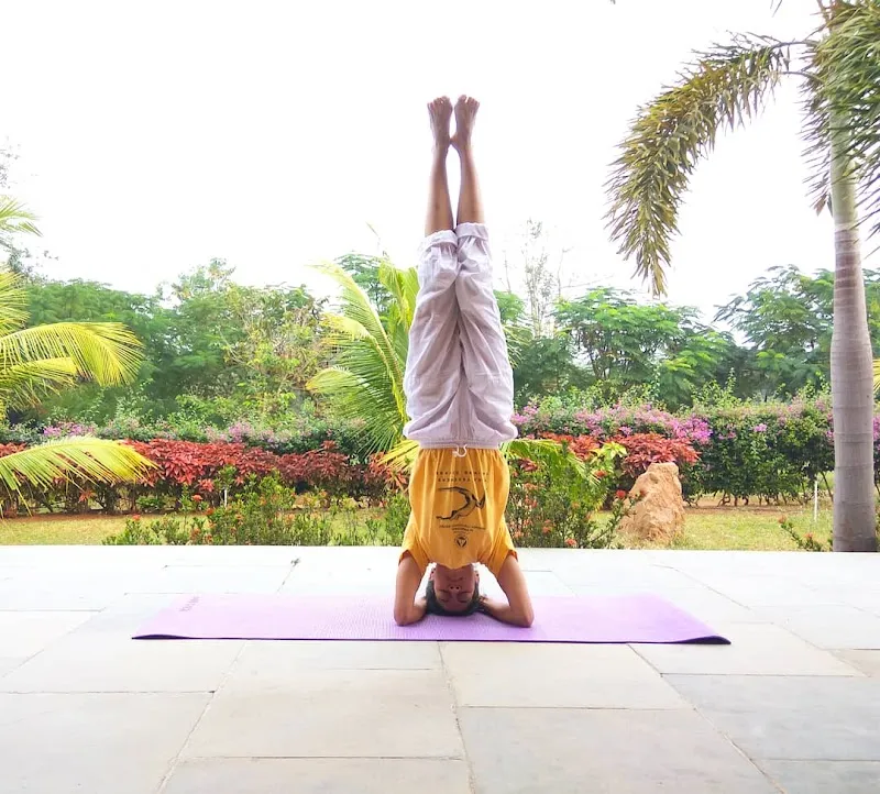 Ekya Yoga