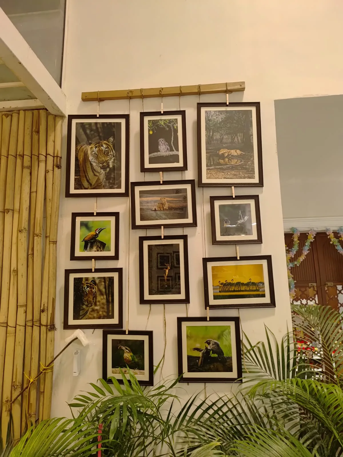 Gangaram photo colour studio