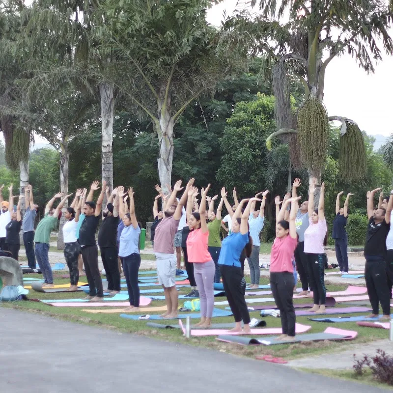 YoKalp (Pilates & Yoga Studio)