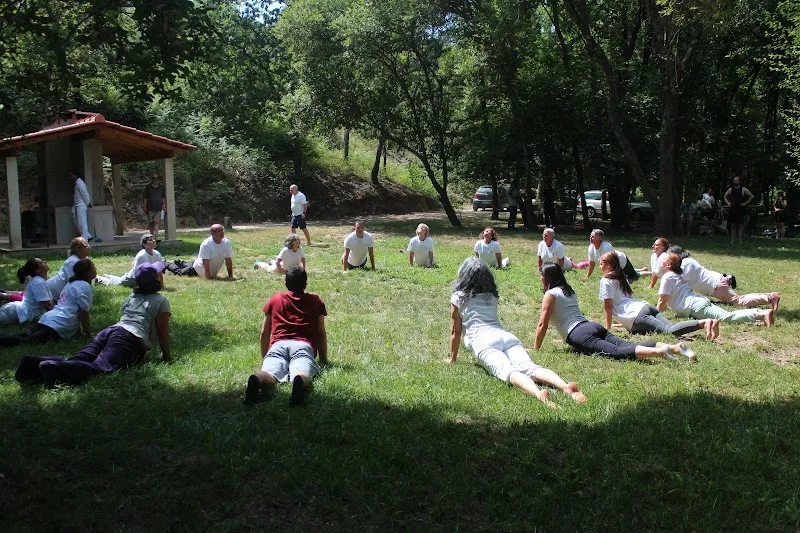 Indian Federation of Yoga