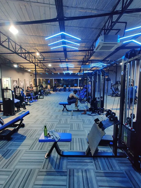 Fitness Prophecy