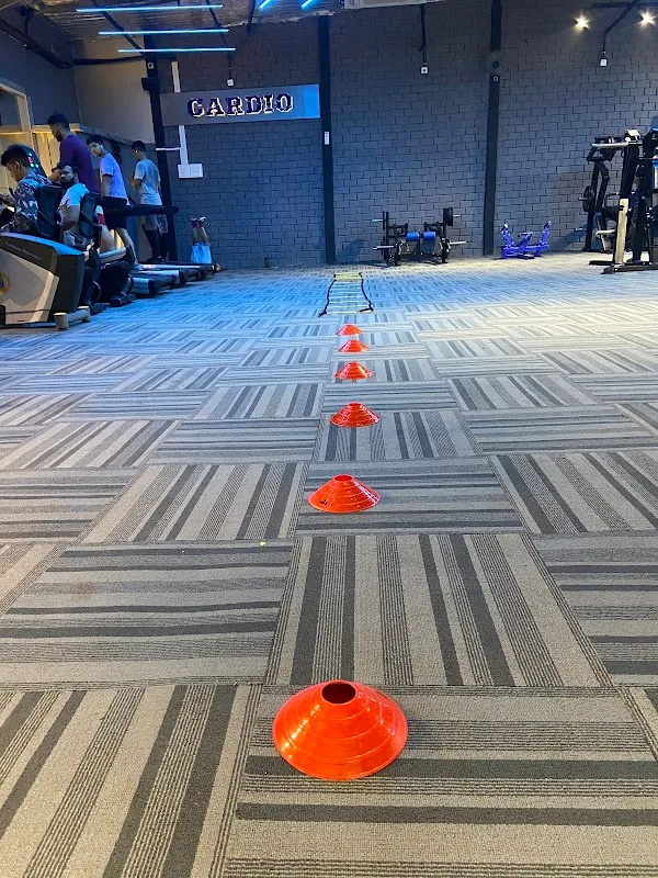 Fitness Prophecy
