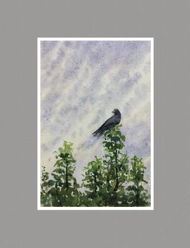 Manju Panchal Fine Art