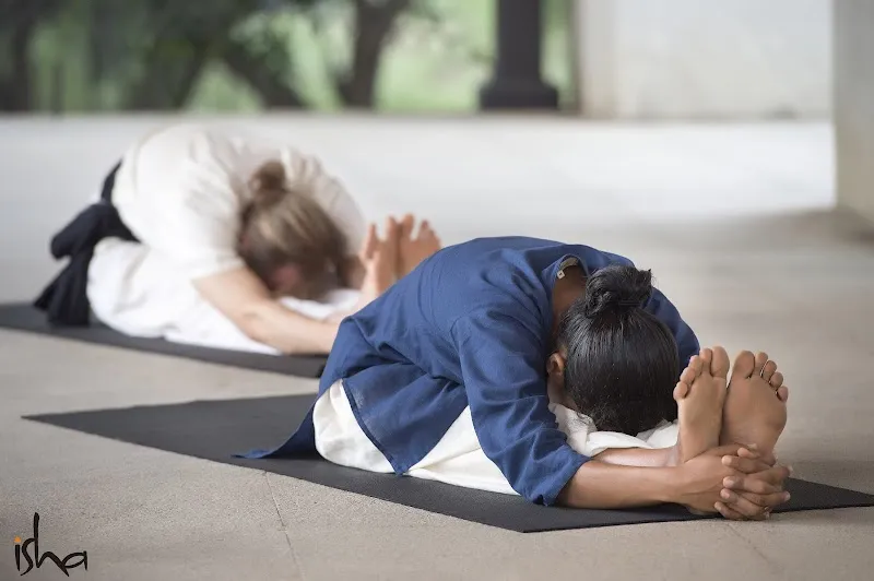 Devi Yoga. Classical Hatha Yoga Studio . Satvic Hangout