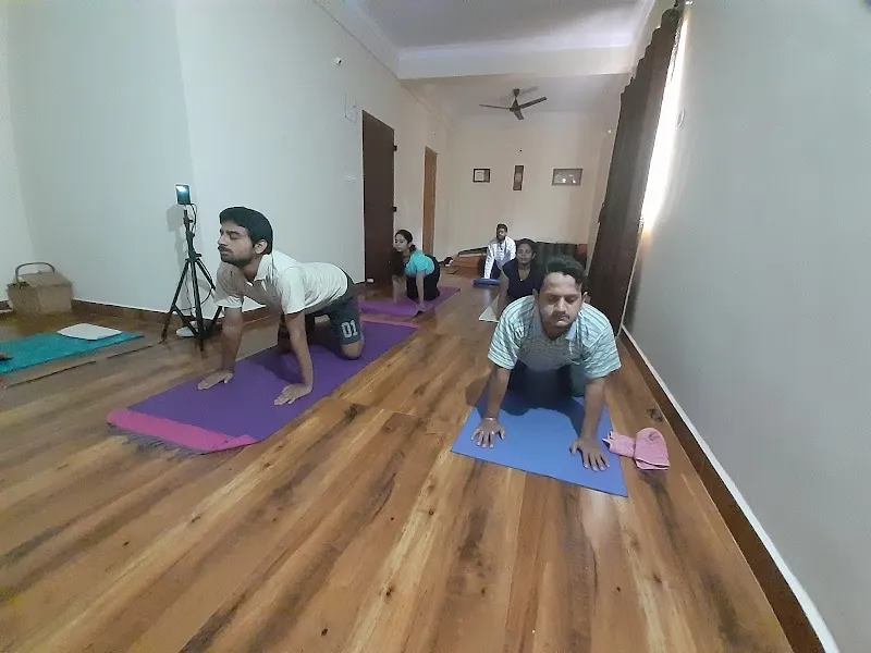 Devi Yoga. Classical Hatha Yoga Studio . Satvic Hangout
