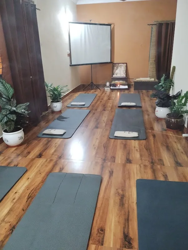 Devi Yoga. Classical Hatha Yoga Studio . Satvic Hangout