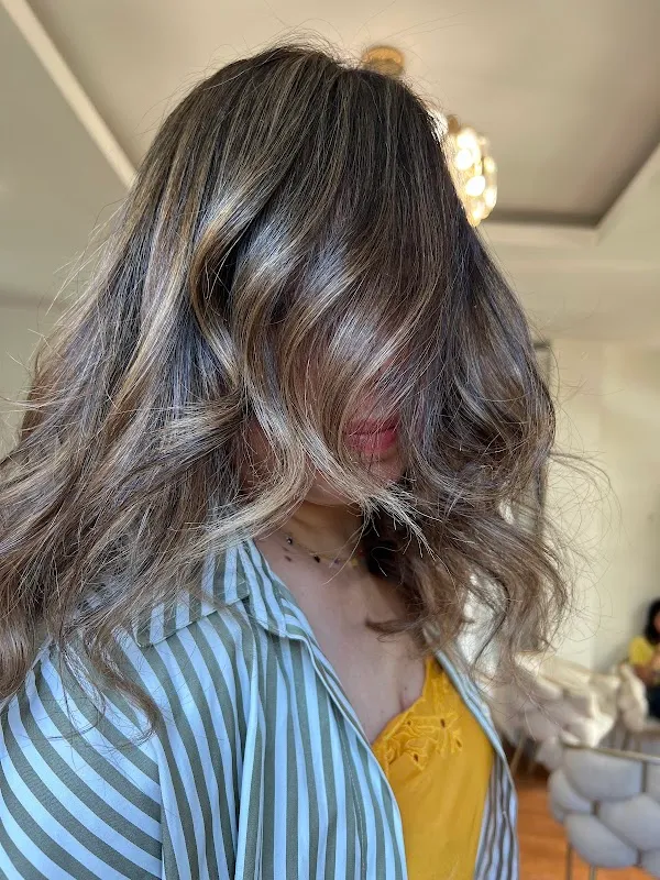Mèches en l'hair2