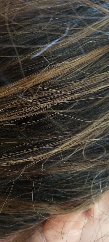 Mèches en l'hair2