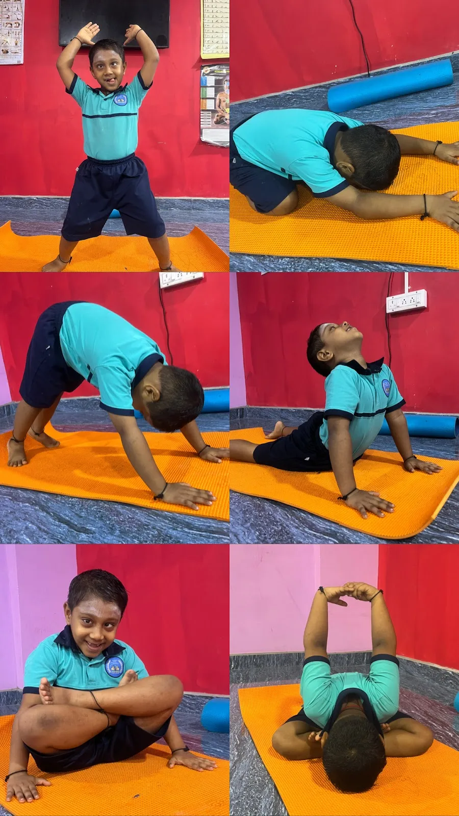 Live Love Yoga Classes in Chennai